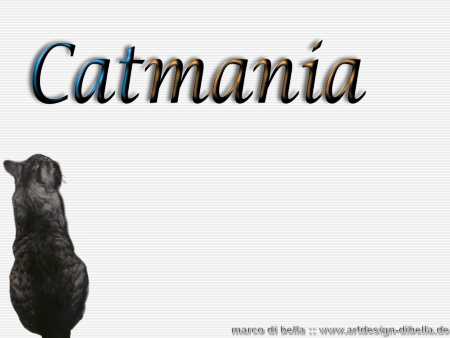 Bild: Catmania