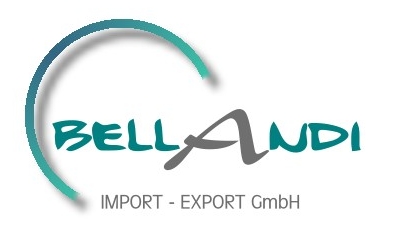 Bild: Logo-Entwurf :: Bellandi GmbH